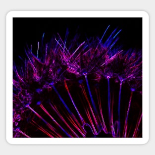 Neon Dandelion Sticker